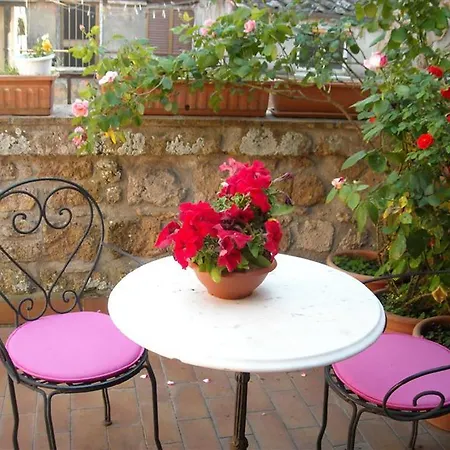 酒店 科索酒店 奥维多